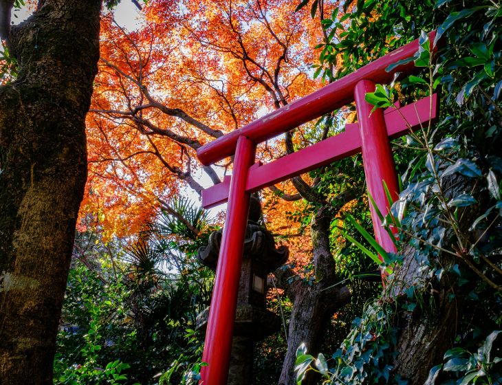 紅葉　鳥居